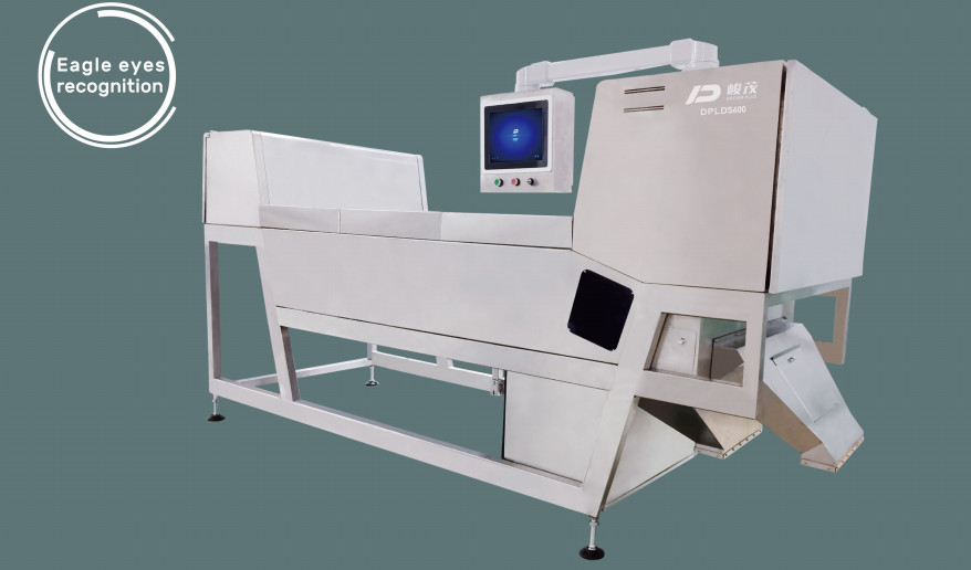 دسته بندی رنگ کمربند استاندارد Eagle Eye 600mm Width